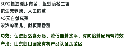 30℃恒温暖床育苗，蚯蚓疏松土壤;花生壳养地，人工除草;45天自然成熟;浓浓的面儿，似板栗香甜;功效：促进胰岛素分泌，降低血糖水平，对防治糖尿病有特效；产地：山东峡山国家有机产品认证示范区